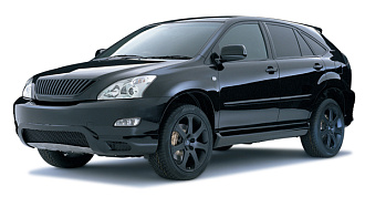 Решетка RX 330 / Harrier 30 2003 - 2009 , чёрная