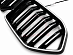 Решетка BMW X6 G06 2019 - 2023 с подсветкой LED