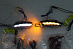 Повторители в зеркала Lexus IS 250 2012 +, / CT 200h