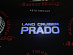 Подсветка в двери Prado 120